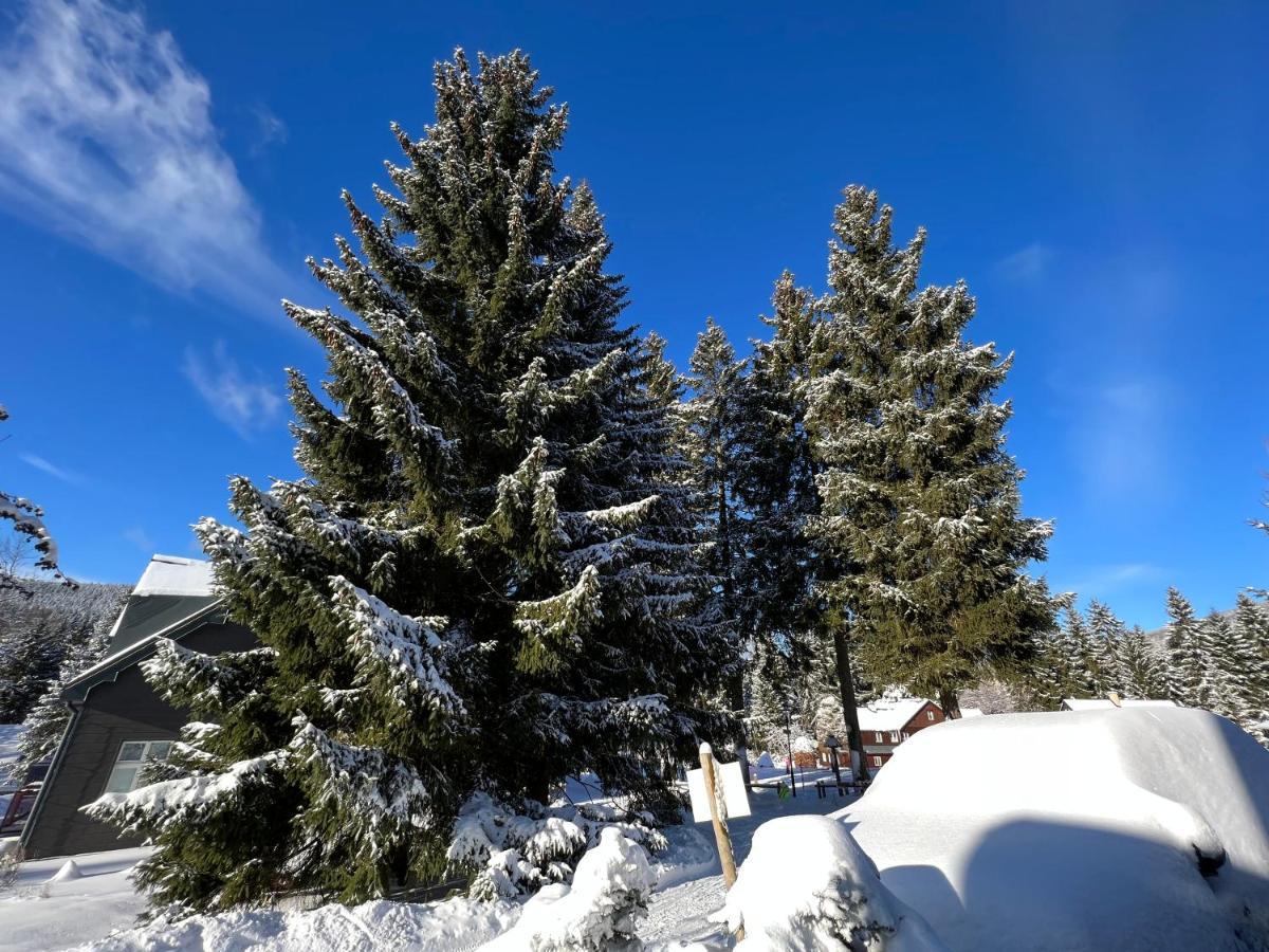 WELLNESS APARTMÁN RESIDENT HARRACHOV C208, 1KK s kuchyní, balkonem, uvítacím balíčkem a multimediálním centrem, PlayStation 5, O2 TV, Netflix, Disney plus Exterior foto