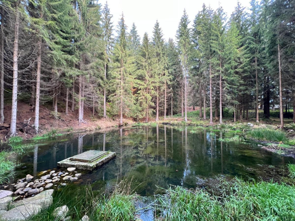 WELLNESS APARTMÁN RESIDENT HARRACHOV C208, 1KK s kuchyní, balkonem, uvítacím balíčkem a multimediálním centrem, PlayStation 5, O2 TV, Netflix, Disney plus Exterior foto