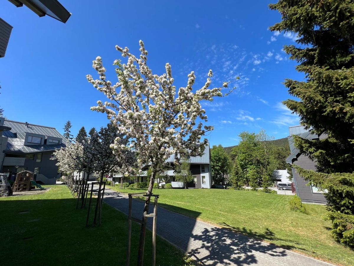 WELLNESS APARTMÁN RESIDENT HARRACHOV C208, 1KK s kuchyní, balkonem, uvítacím balíčkem a multimediálním centrem, PlayStation 5, O2 TV, Netflix, Disney plus Exterior foto